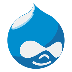 PHP based CMS development