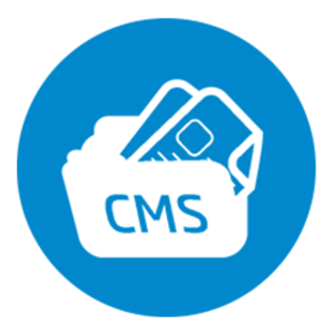 CMS Web Development